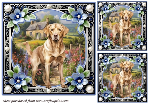3 Floral framed Labrador card fronts/toppers 1