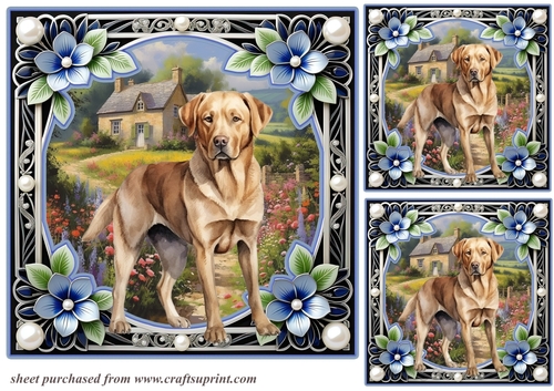 3 Floral framed Labrador card fronts/toppers 3