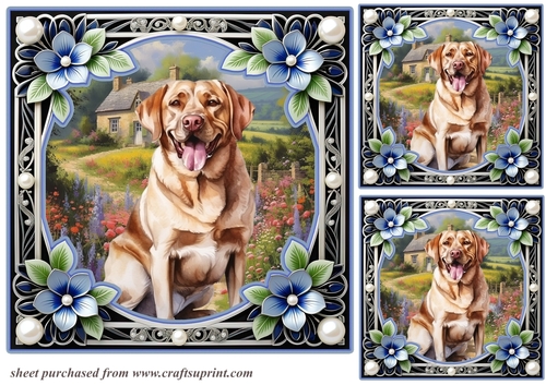 3 Floral framed Labrador card fronts/toppers 4