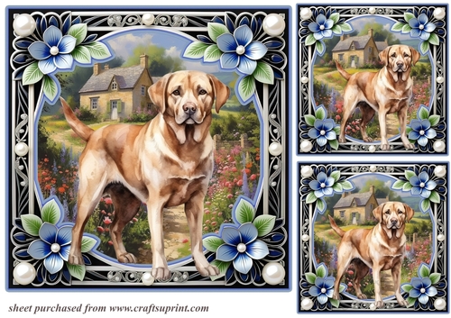 3 Floral framed Labrador card fronts/toppers 6