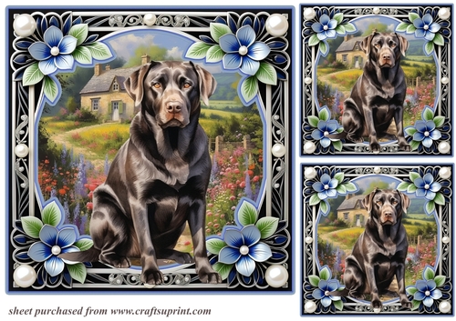 3 Floral framed Labrador card fronts/toppers 7