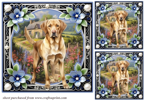 3 Floral framed Labrador card fronts/toppers 8