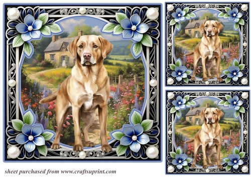 3 Floral framed Labrador card fronts/toppers 9