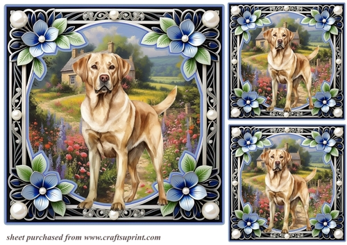 3 Floral framed Labrador card fronts/toppers 10