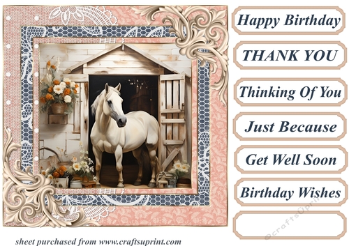 Framed white horse card front 2