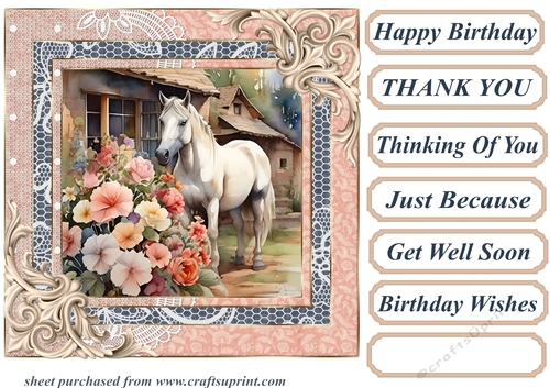Framed white horse card front 3