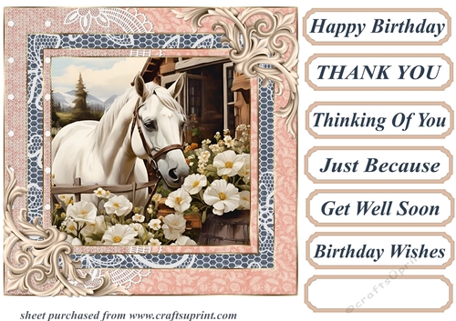 Framed white horse card front 4