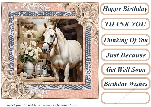 Framed white horse card front 5