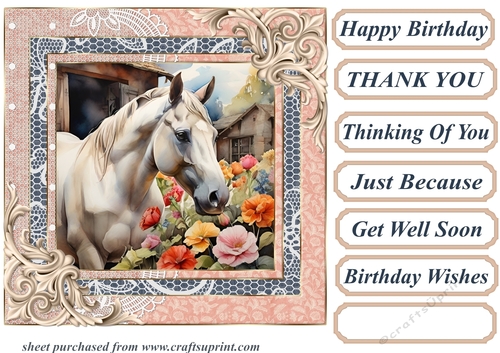 Framed white horse card front 6