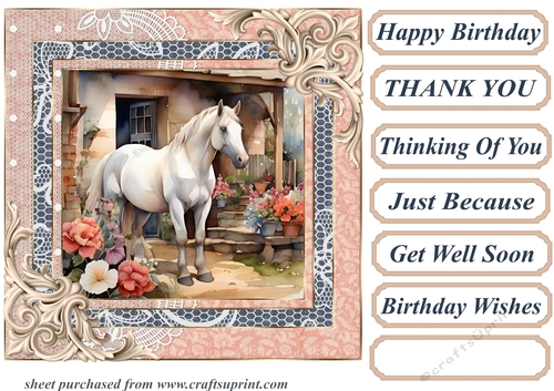Framed white horse card front 7