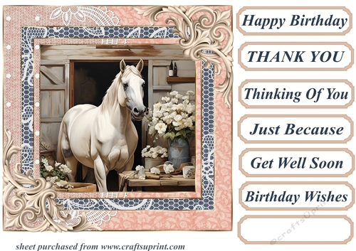 Framed white horse card front 8