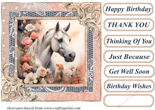 Framed white horse card front 10