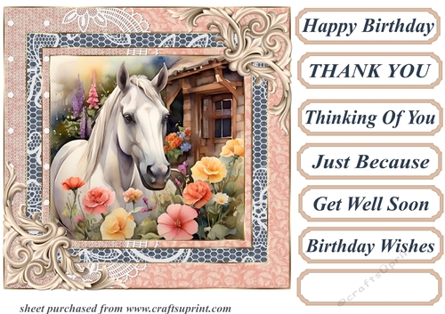 Framed white horse card front 11