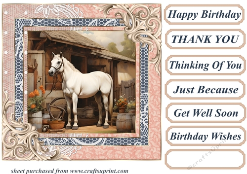 Framed white horse card front 12