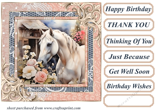 Framed white horse card front 13