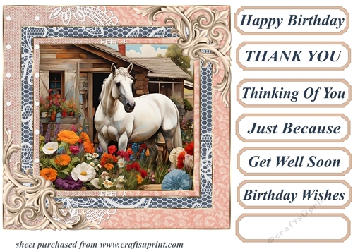 Framed white horse card front 14
