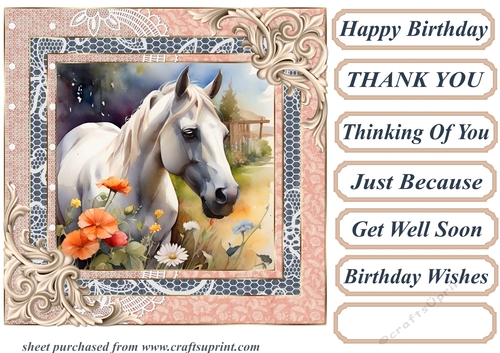 Framed white horse card front 15