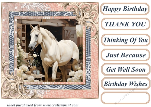 Framed white horse card front 16