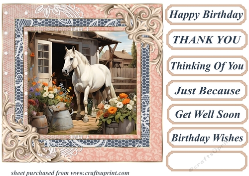 Framed white horse card front 17