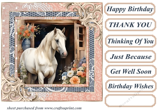Framed white horse card front 18