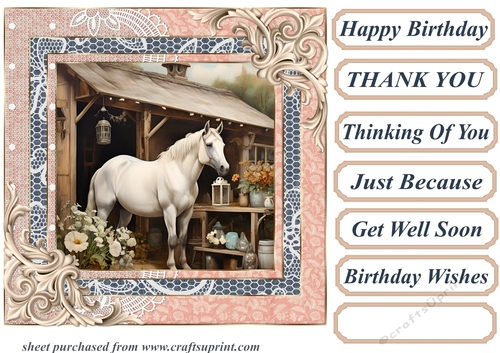 Framed white horse card front 19