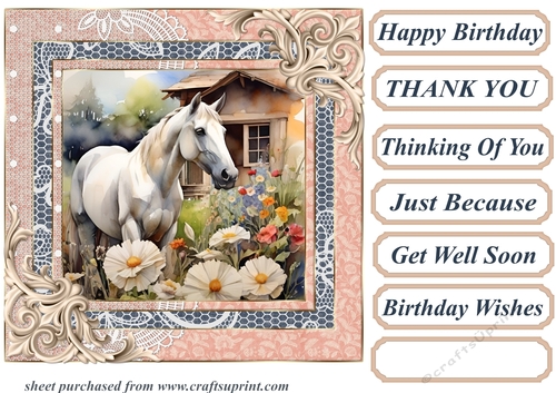 Framed white horse card front 20