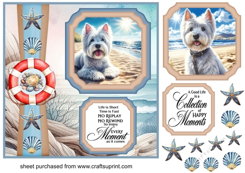 2 Panel West Highland terrier on beach card front 1