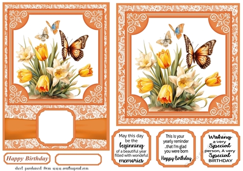 6x6 and 5x7 Orange floral butterfly card fronts