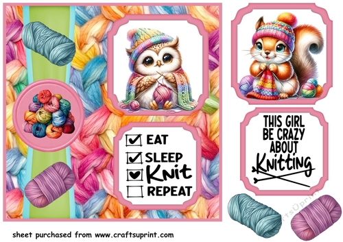 2 Panel Leave me alone im knitting card front 2