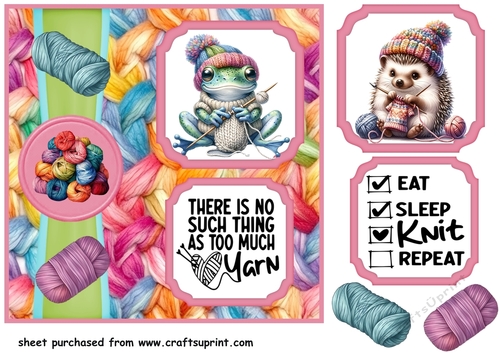 2 Panel Leave me alone im knitting card front 3
