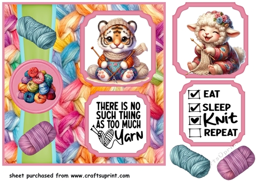 2 Panel Leave me alone im knitting card front 4