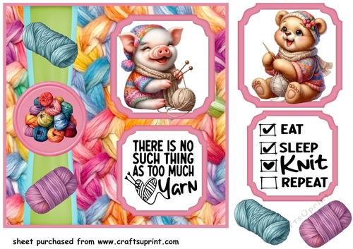 2 Panel Leave me alone im knitting card front 6