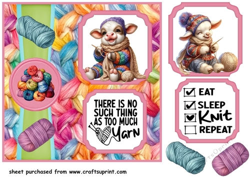 2 Panel Leave me alone im knitting card front 9