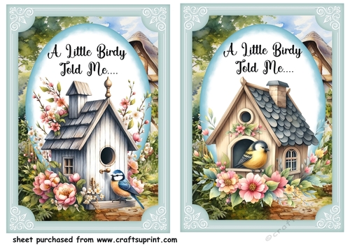 2 A little birdy told me ..... card fronts 4