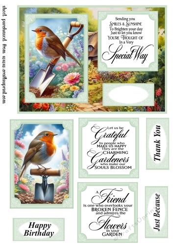 Robin in the garden card front 1