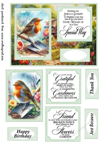Robin in the garden card front 2