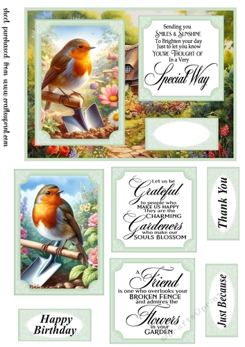 Robin in the garden card front 3