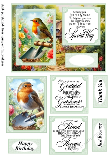 Robin in the garden card front 4
