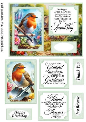 Robin in the garden card front 5
