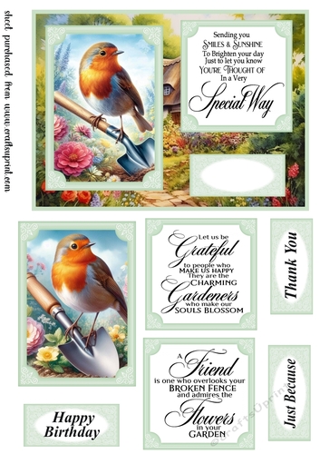 Robin in the garden card front 6