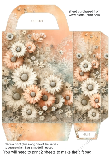 Pastel daisy gift bag 12
