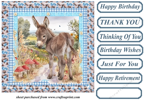Floral donkey card front 6