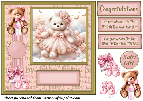 Baby girl ted card front 1