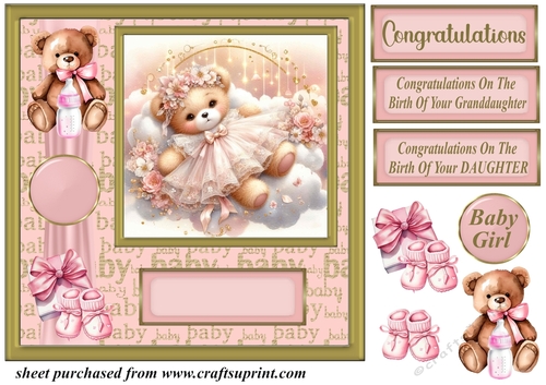 Baby girl ted card front 2