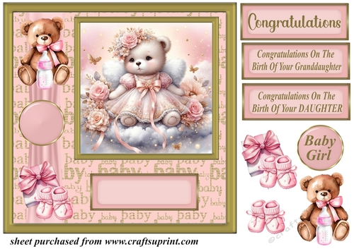 Baby girl ted card front 3