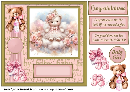 Baby girl ted card front 4
