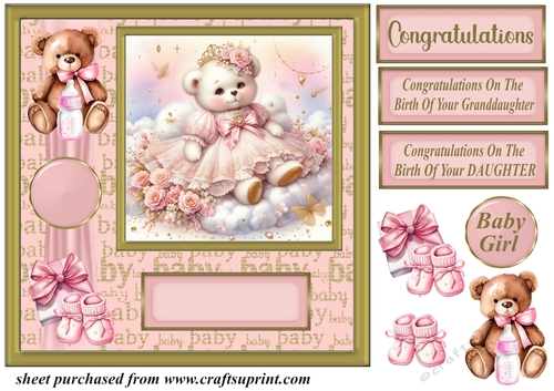 Baby girl ted card front 5