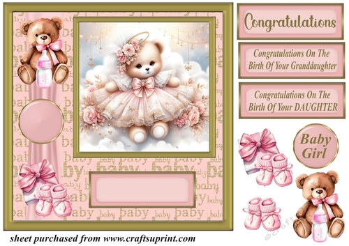 Baby girl ted card front 6