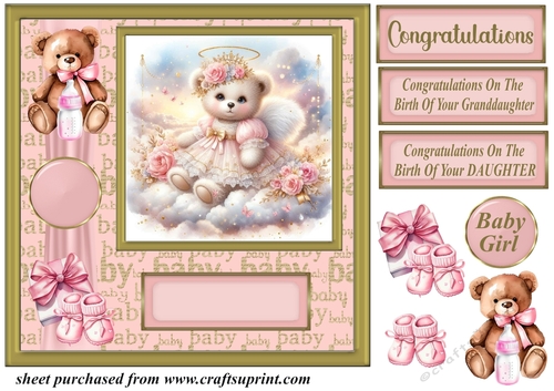 Baby girl ted card front 7