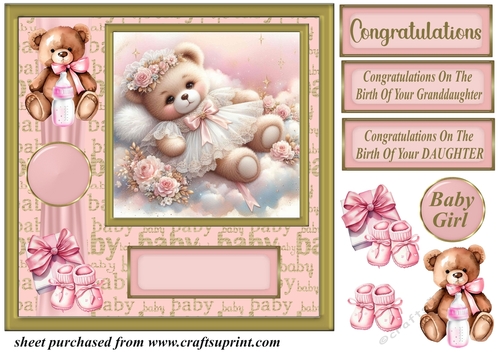 Baby girl ted card front 8